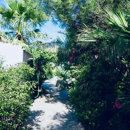 Cortijo Paraiso Charcon Higuera